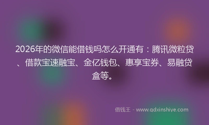 2026年的微信能借钱吗怎么开通有：腾讯微粒贷、借款宝速融宝、金亿钱包、惠享宝券、易融贷盒等。