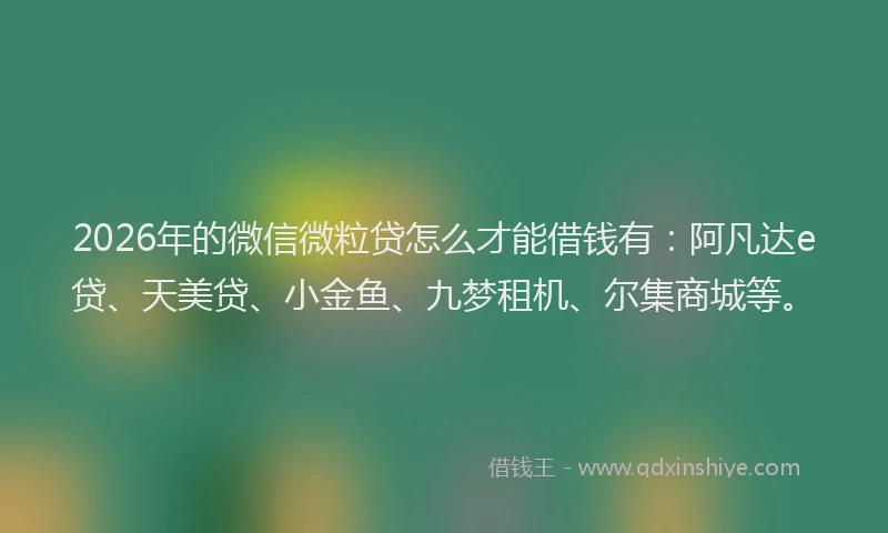 2026年的微信微粒贷怎么才能借钱有：阿凡达e贷、天美贷、小金鱼、九梦租机、尔集商城等。