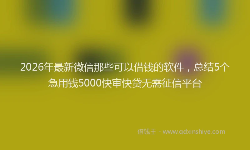 2026年最新微信那些可以借钱的软件，总结5个急用钱5000快审快贷无需征信平台