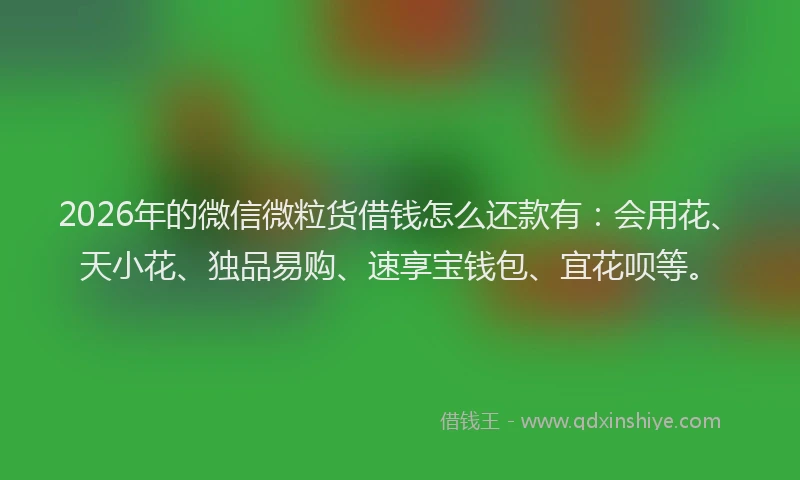2026年的微信微粒货借钱怎么还款有：会用花、天小花、独品易购、速享宝钱包、宜花呗等。