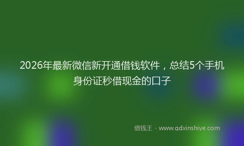 2026年最新微信新开通借钱软件，总结5个手机身份证秒借现金的口子