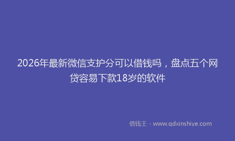 2026年最新微信支护分可以借钱吗，盘点五个网贷容易下款18岁的软件