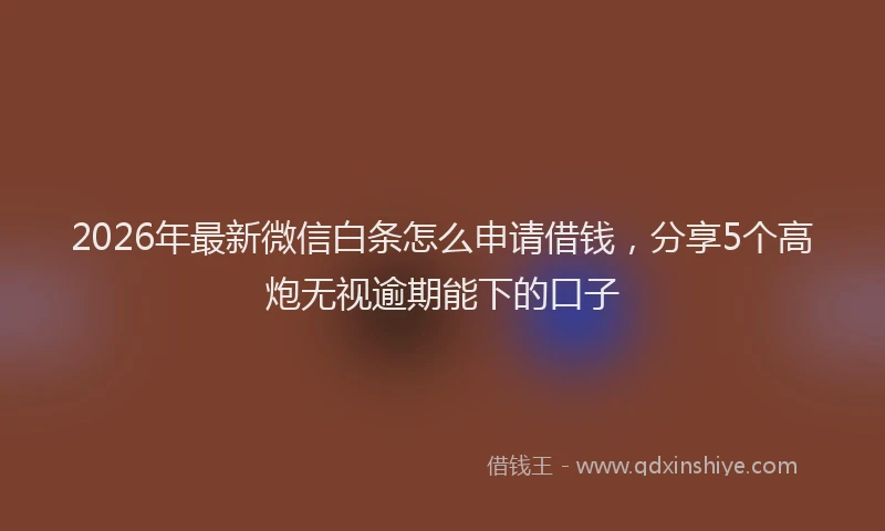 2026年最新微信白条怎么申请借钱，分享5个高炮无视逾期能下的口子