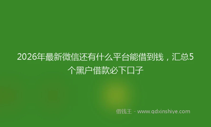 2026年最新微信还有什么平台能借到钱，汇总5个黑户借款必下口子