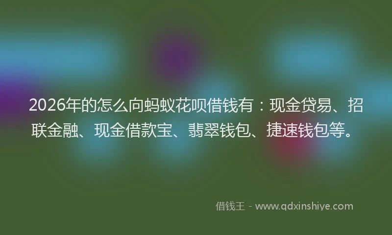 2026年的怎么向蚂蚁花呗借钱有：现金贷易、招联金融、现金借款宝、翡翠钱包、捷速钱包等。