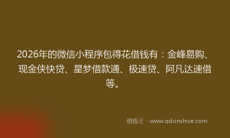 2026年的微信小程序包得花借钱有：金峰易购、现金侠快贷、星梦借款通、极速贷、阿凡达速借等。