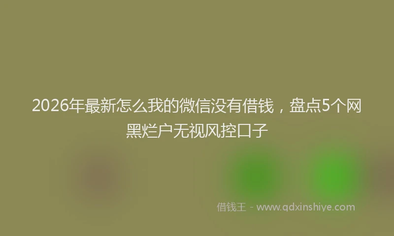 2026年最新怎么我的微信没有借钱，盘点5个网黑烂户无视风控口子
