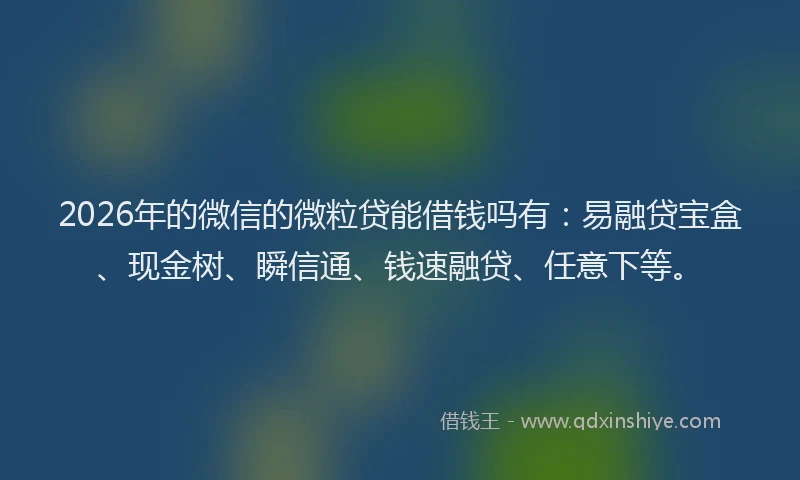 2026年的微信的微粒贷能借钱吗有：易融贷宝盒、现金树、瞬信通、钱速融贷、任意下等。