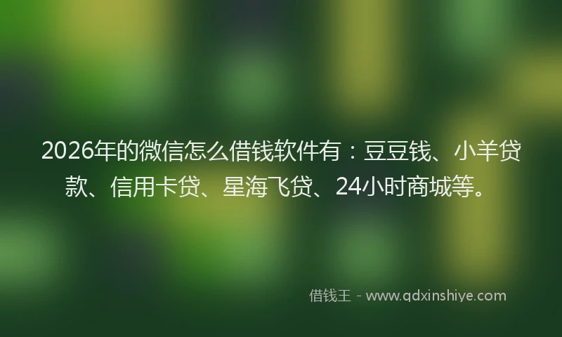 2026年的微信怎么借钱软件有：豆豆钱、小羊贷款、信用卡贷、星海飞贷、24小时商城等。