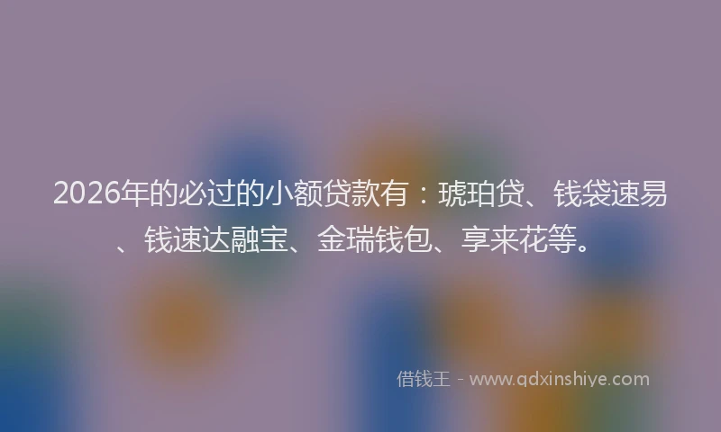 2026年的必过的小额贷款有：琥珀贷、钱袋速易、钱速达融宝、金瑞钱包、享来花等。