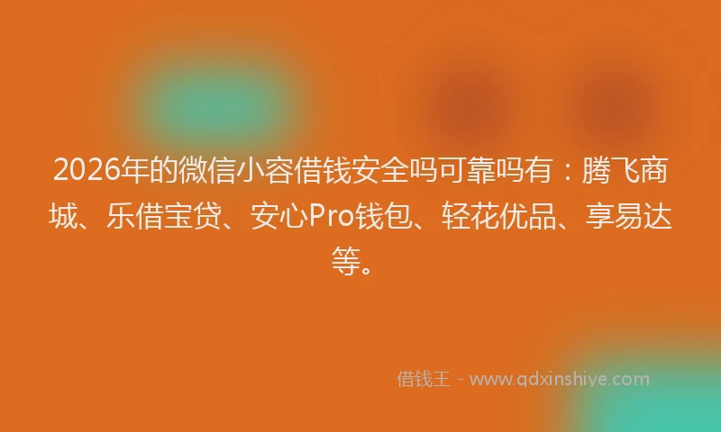 2026年的微信小容借钱安全吗可靠吗有：腾飞商城、乐借宝贷、安心Pro钱包、轻花优品、享易达等。