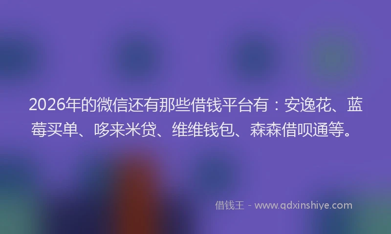 2026年的微信还有那些借钱平台有：安逸花、蓝莓买单、哆来米贷、维维钱包、森森借呗通等。