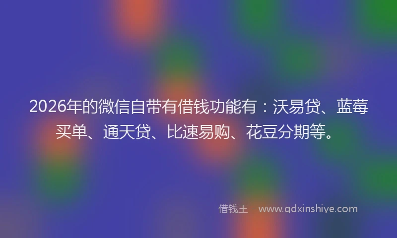 2026年的微信自带有借钱功能有：沃易贷、蓝莓买单、通天贷、比速易购、花豆分期等。