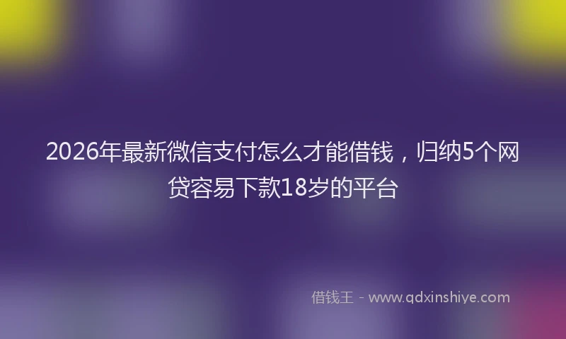 2026年最新微信支付怎么才能借钱，归纳5个网贷容易下款18岁的平台