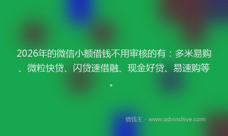 2026年的微信小额借钱不用审核的有：多米易购、微粒快贷、闪贷速借融、现金好贷、易速购等。