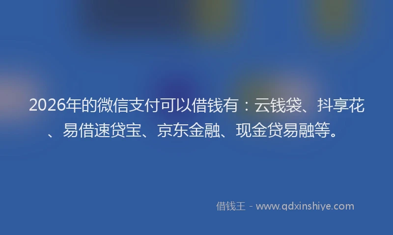 2026年的微信支付可以借钱有：云钱袋、抖享花、易借速贷宝、京东金融、现金贷易融等。