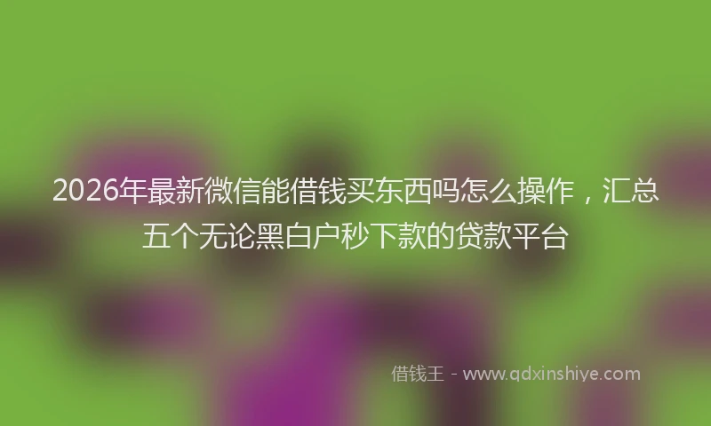 2026年最新微信能借钱买东西吗怎么操作，汇总五个无论黑白户秒下款的贷款平台