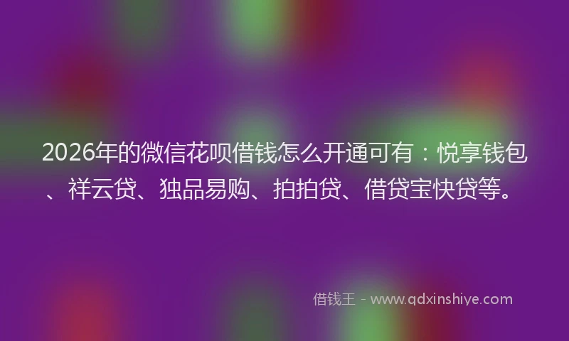 2026年的微信花呗借钱怎么开通可有：悦享钱包、祥云贷、独品易购、拍拍贷、借贷宝快贷等。