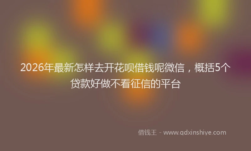 2026年最新怎样去开花呗借钱呢微信，概括5个贷款好做不看征信的平台