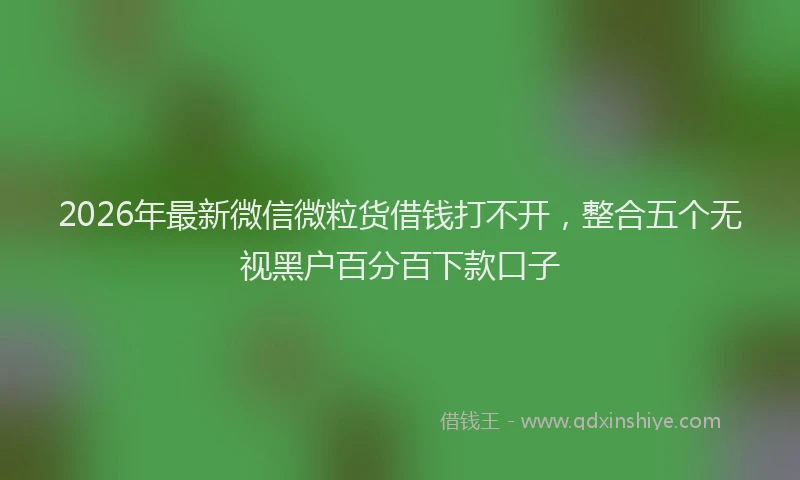 2026年最新微信微粒货借钱打不开，整合五个无视黑户百分百下款口子