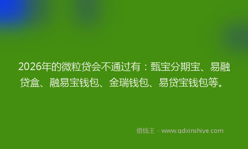2026年的微粒贷会不通过有：甄宝分期宝、易融贷盒、融易宝钱包、金瑞钱包、易贷宝钱包等。