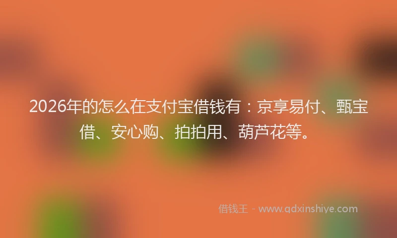 2026年的怎么在支付宝借钱有：京享易付、甄宝借、安心购、拍拍用、葫芦花等。