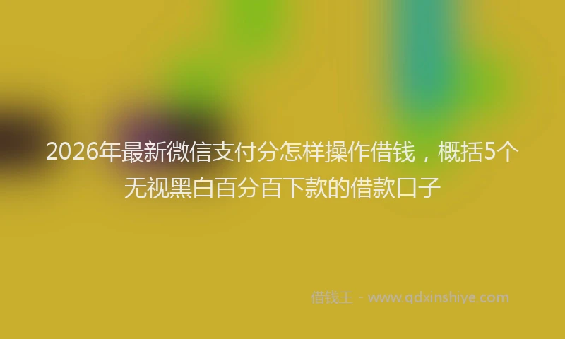 2026年最新微信支付分怎样操作借钱，概括5个无视黑白百分百下款的借款口子