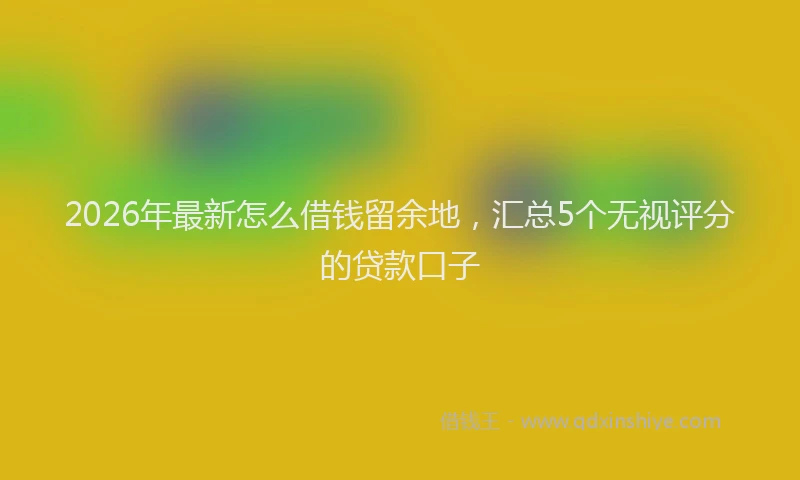 2026年最新怎么借钱留余地，汇总5个无视评分的贷款口子