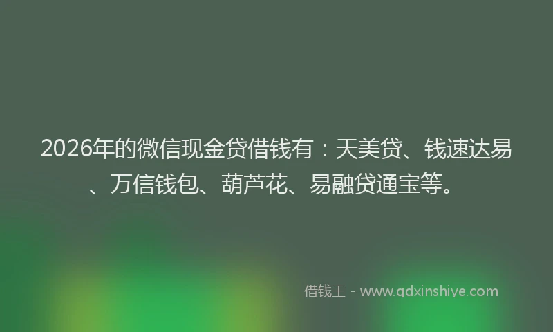 2026年的微信现金贷借钱有：天美贷、钱速达易、万信钱包、葫芦花、易融贷通宝等。