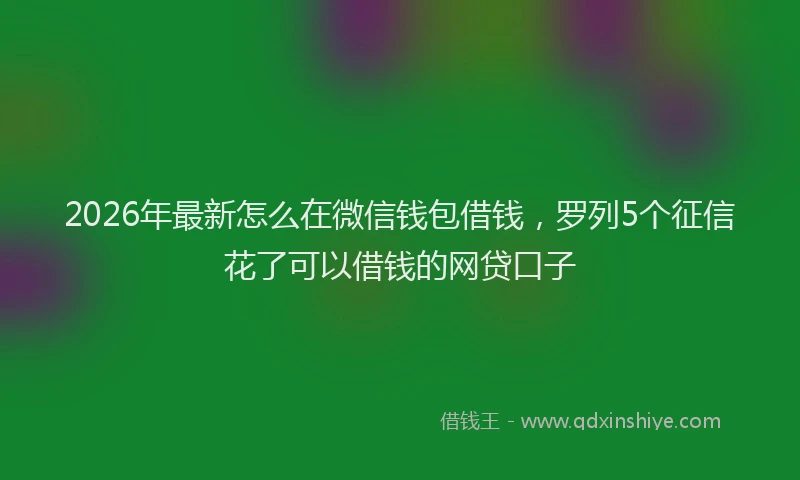 2026年最新怎么在微信钱包借钱，罗列5个征信花了可以借钱的网贷口子