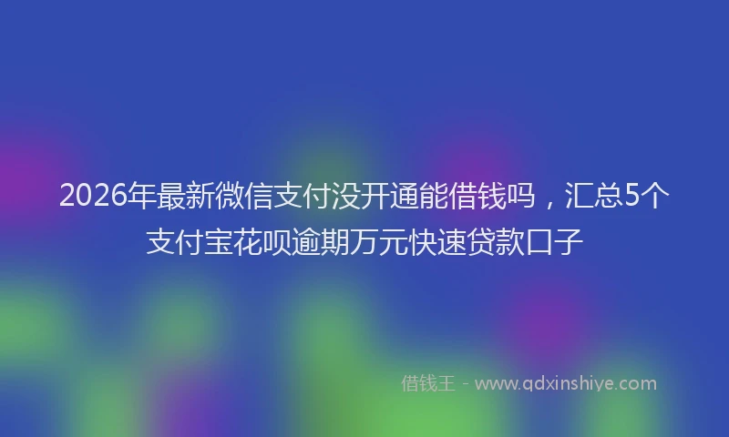 2026年最新微信支付没开通能借钱吗，汇总5个支付宝花呗逾期万元快速贷款口子
