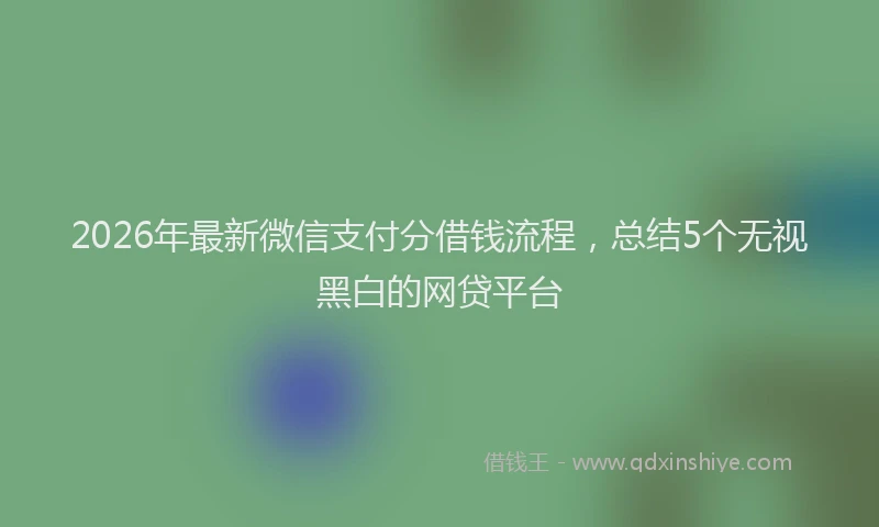 2026年最新微信支付分借钱流程，总结5个无视黑白的网贷平台