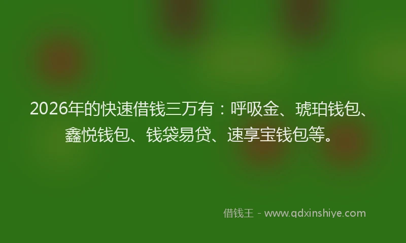 2026年的快速借钱三万有：呼吸金、琥珀钱包、鑫悦钱包、钱袋易贷、速享宝钱包等。