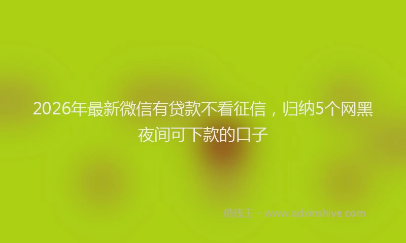 2026年最新微信有贷款不看征信，归纳5个网黑夜间可下款的口子