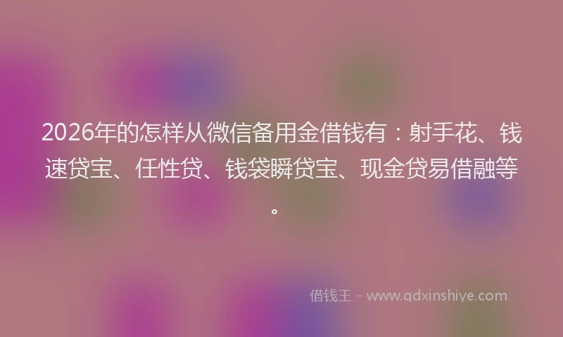 2026年的怎样从微信备用金借钱有：射手花、钱速贷宝、任性贷、钱袋瞬贷宝、现金贷易借融等。
