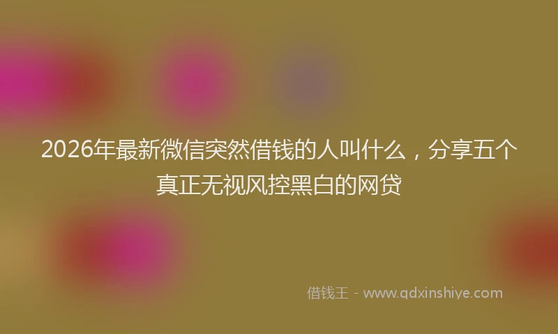 2026年最新微信突然借钱的人叫什么，分享五个真正无视风控黑白的网贷