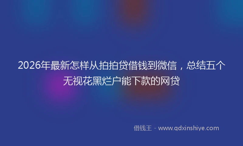 2026年最新怎样从拍拍贷借钱到微信，总结五个无视花黑烂户能下款的网贷