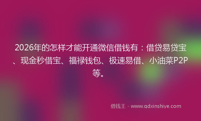 2026年的怎样才能开通微信借钱有：借贷易贷宝、现金秒借宝、福禄钱包、极速易借、小油菜P2P等。