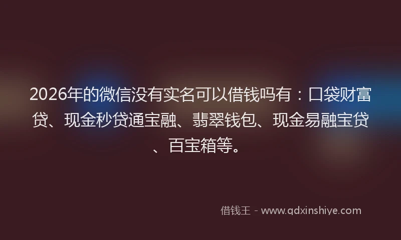 2026年的微信没有实名可以借钱吗有：口袋财富贷、现金秒贷通宝融、翡翠钱包、现金易融宝贷、百宝箱等。