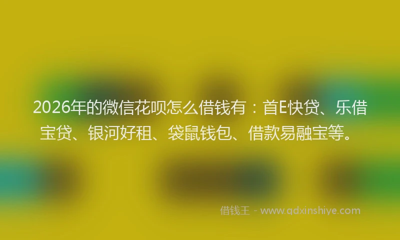2026年的微信花呗怎么借钱有：首E快贷、乐借宝贷、银河好租、袋鼠钱包、借款易融宝等。