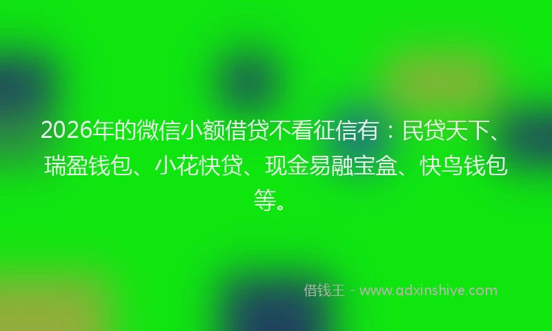 2026年的微信小额借贷不看征信有：民贷天下、瑞盈钱包、小花快贷、现金易融宝盒、快鸟钱包等。
