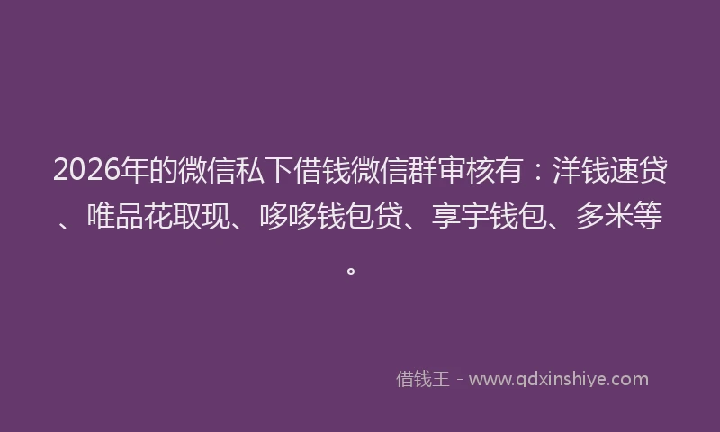 2026年的微信私下借钱微信群审核有：洋钱速贷、唯品花取现、哆哆钱包贷、享宇钱包、多米等。