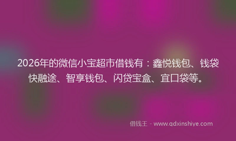 2026年的微信小宝超市借钱有：鑫悦钱包、钱袋快融途、智享钱包、闪贷宝盒、宜口袋等。