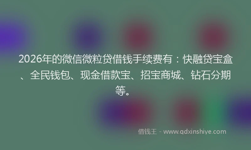 2026年的微信微粒贷借钱手续费有：快融贷宝盒、全民钱包、现金借款宝、招宝商城、钻石分期等。