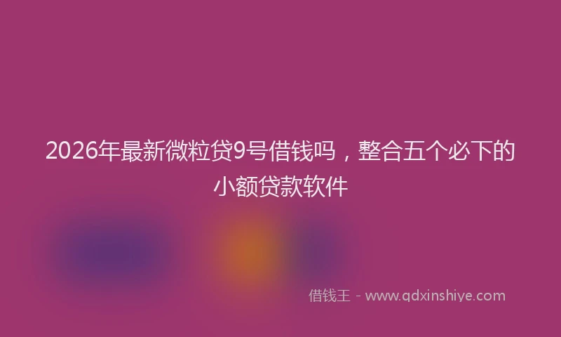 2026年最新微粒贷9号借钱吗，整合五个必下的小额贷款软件