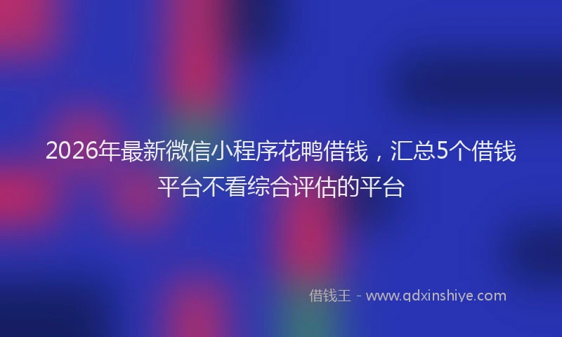 2026年最新微信小程序花鸭借钱，汇总5个借钱平台不看综合评估的平台