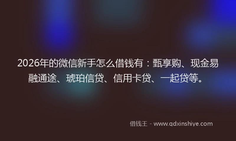 2026年的微信新手怎么借钱有：甄享购、现金易融通途、琥珀信贷、信用卡贷、一起贷等。