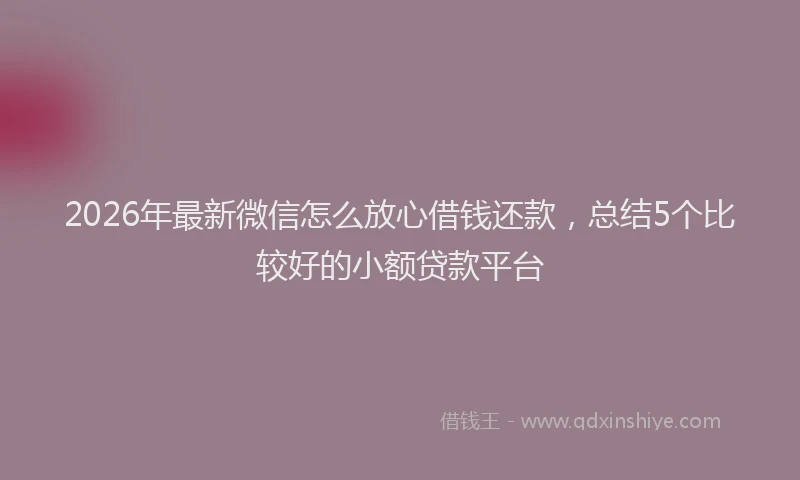 2026年最新微信怎么放心借钱还款，总结5个比较好的小额贷款平台