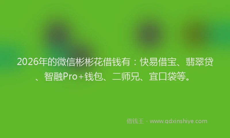 2026年的微信彬彬花借钱有：快易借宝、翡翠贷、智融Pro+钱包、二师兄、宜口袋等。