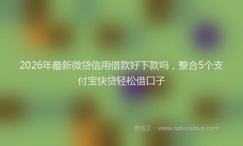 2026年最新微贷信用借款好下款吗，整合5个支付宝快贷轻松借口子